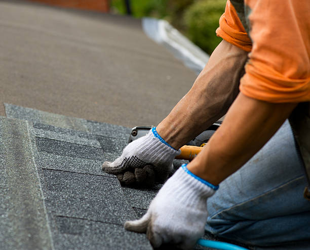 Best Roof Repair Services  in Woodburn, IN