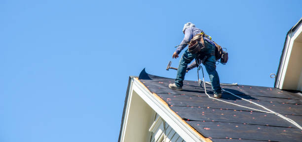 Best Roof Maintenance Services  in Woodburn, IN
